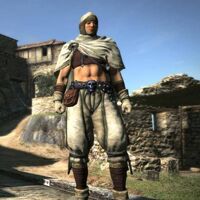 Cassardi Armor And Clothing Dragon S Dogma Wiki Fandom