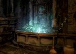 HealingSpringWR