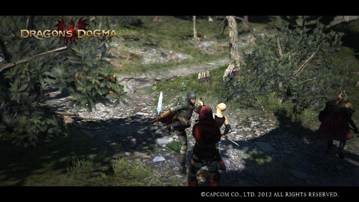 Image - 582281 369962983068599 872762611 n.jpg | Dragon's Dogma Wiki