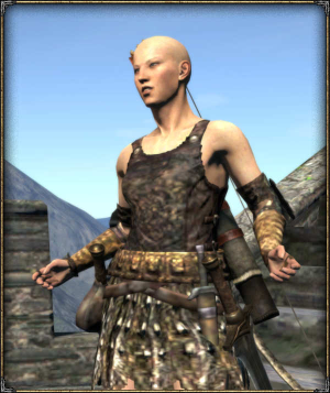 Tomazin | Dragon's Dogma Wiki | FANDOM powered by Wikia