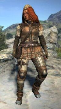 Leather armor set with cap