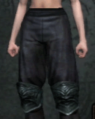 Assassin S Breeches Dragon S Dogma Wiki Fandom