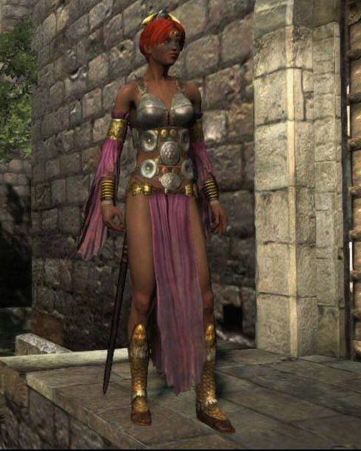 Berserkin Set Dragon S Dogma Wiki Fandom
