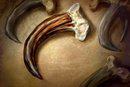 Garras de Banshees
