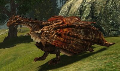Erd-Steinflügeldrache