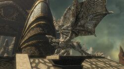 Dragonheart Terrace 005