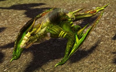 Omen-Raptor-Drache