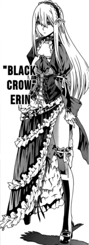 Apariencia de Erin