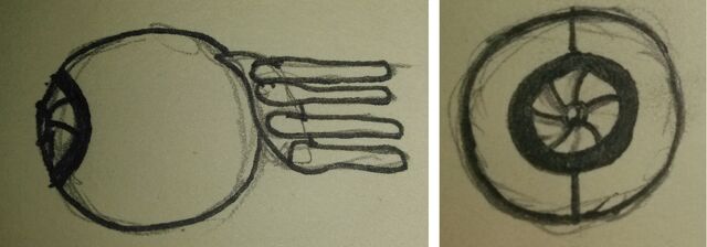 File:WararachEyeInSocket.jpg