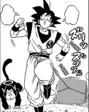 DBSM1