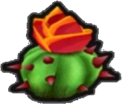 Cacti-Snack