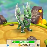 Dragon Enchanted Oracle AdultFull