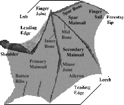 Wing