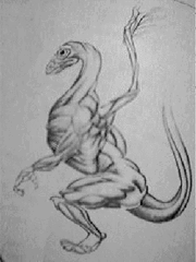 Muscledia