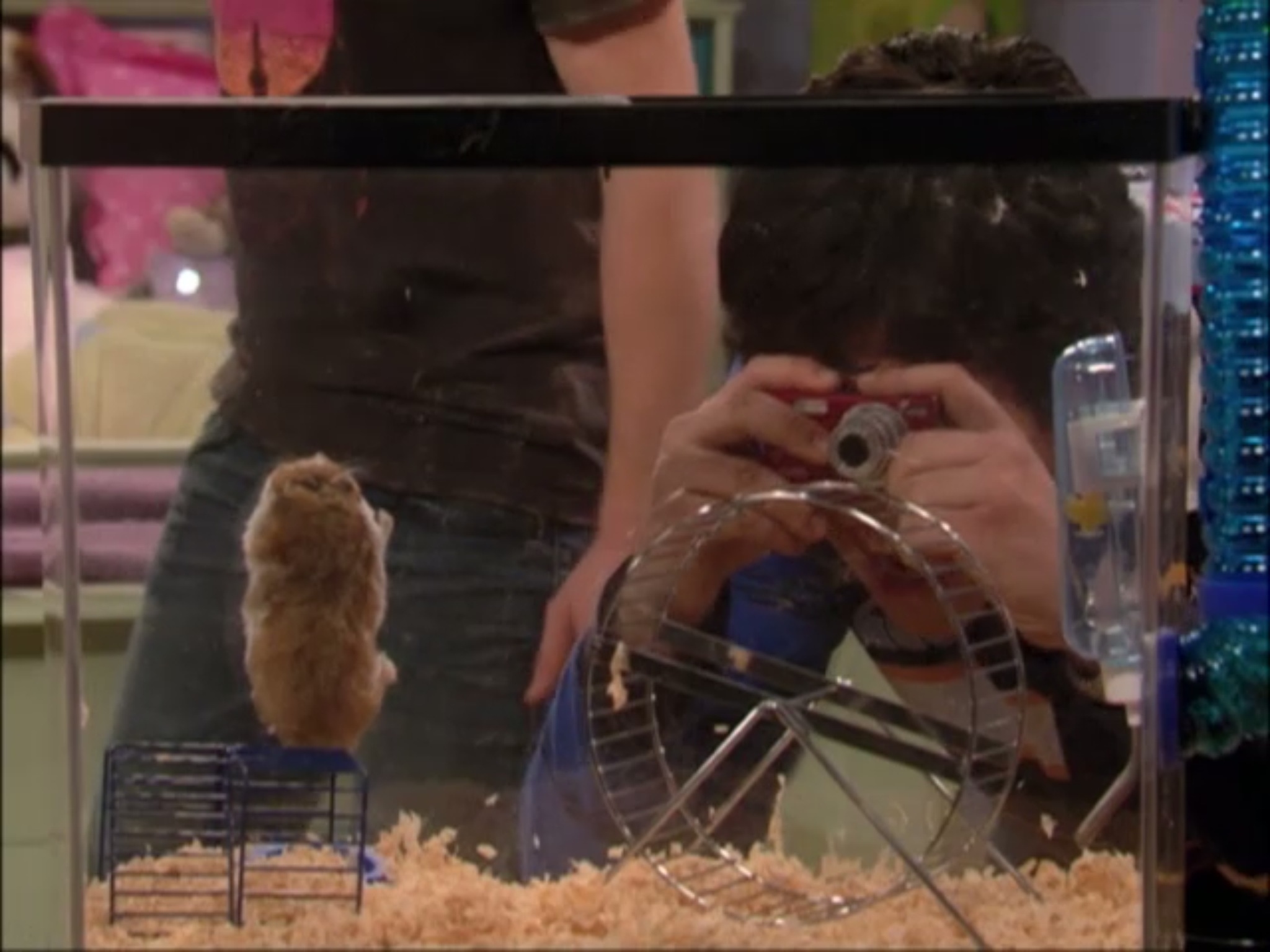 Megans Revenge Drake And Josh Wiki FANDOM Powered By Wikia Megans Revenge Drake And Josh Wiki FANDOM Powered By Wikia