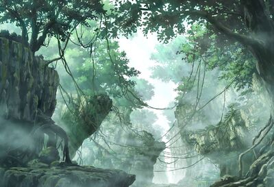 Land of Forest