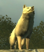 WhiteFur