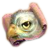 Adlerauge pic