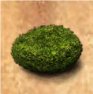Olginroot image