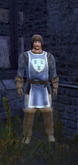 Stadtgardist Henschel
