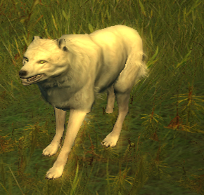 WhiteFur2