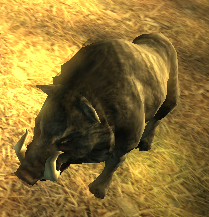WildBoar