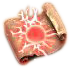 Kulminatio pic