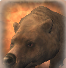 Bear-portrait