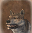 Wolf-portrait
