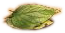 Conchinis pic