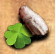 LuckyCharm