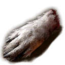 Gegenstand Wolfspfote