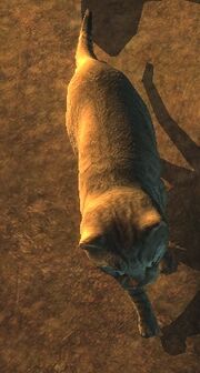 MimiTheCat