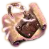 Foramen pic