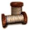 Sinews