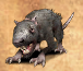 GiantWolfRat-icon
