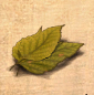 Belmartblatt01