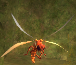 Firefly