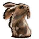 Säbelzahnkaninchen