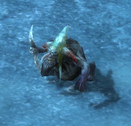 Gnom