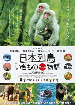Japan's Wildlife-The Untold Story