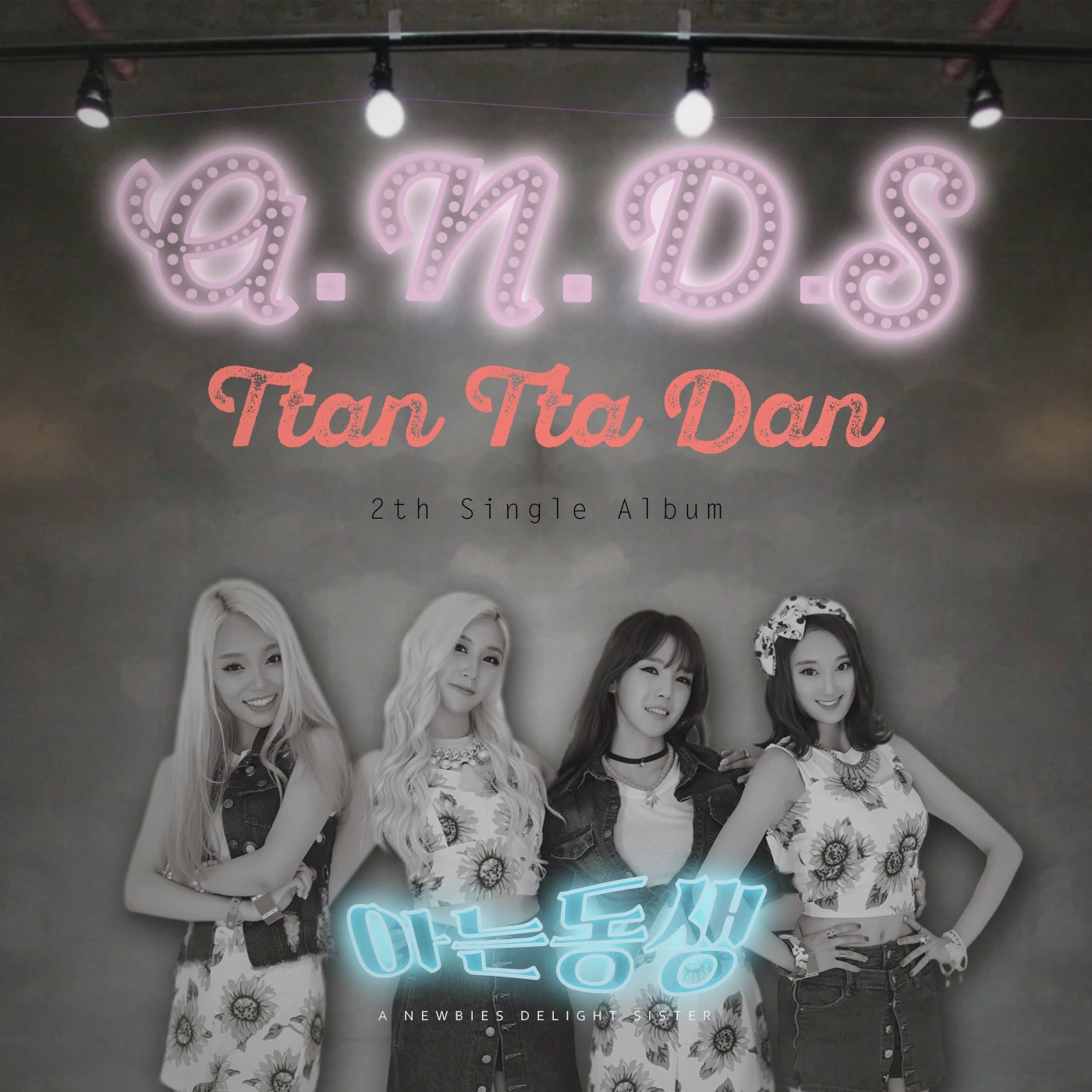 A.N.D.S | Wiki Drama | Fandom