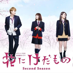 Zamatos Kapu Frusztralo Hana Ni Kedamono Eng Sub Manandmachine Visiograph Com