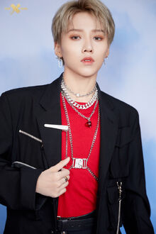 Liu Yu Xin THE9