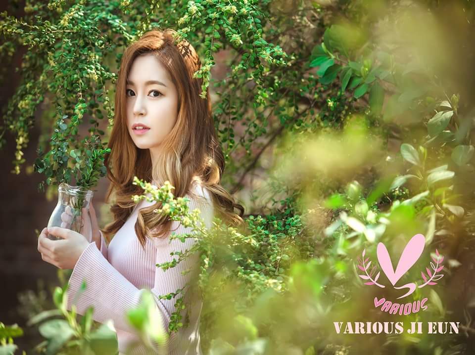 park ji eun wiki drama fandom powered by wikia park ji eun wiki drama fandom powered by wikia