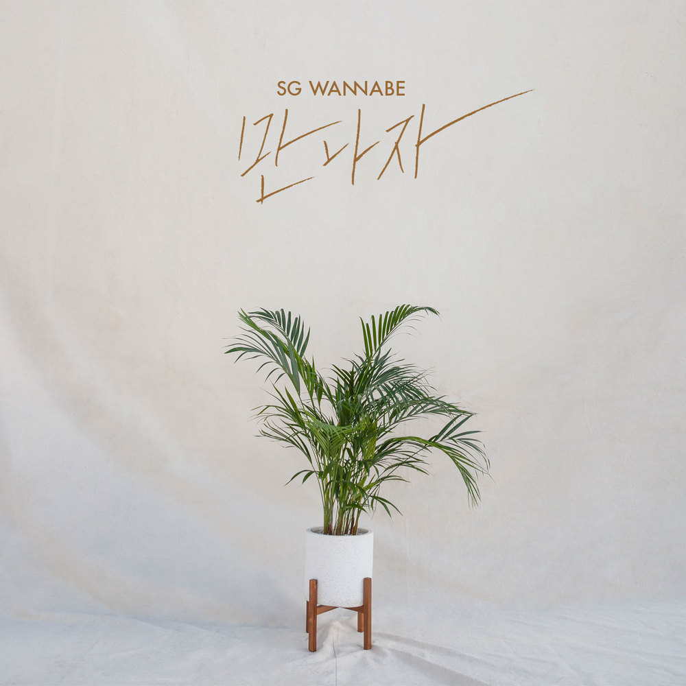 SG Wannabe