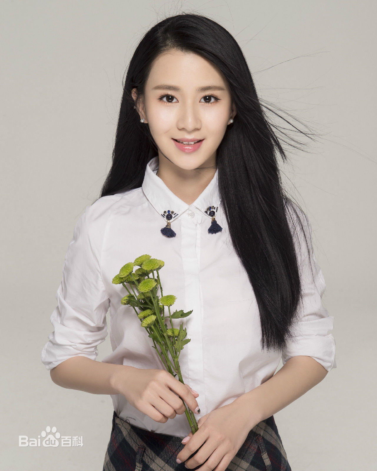 Liu Ying Lun | Wiki Drama | FANDOM powered by Wikia