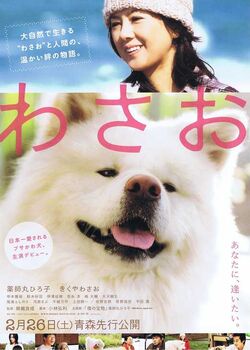 Wasao