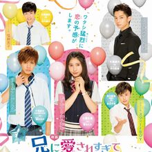 Ani Ni Aisaresugite Komattemasu Wiki Drama Fandom