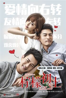 First Love(2016)
